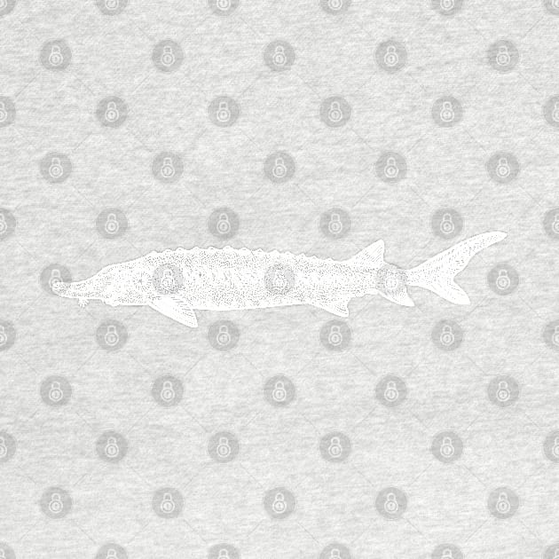 Hand drawn Sturgeon Fish design by Green Paladin